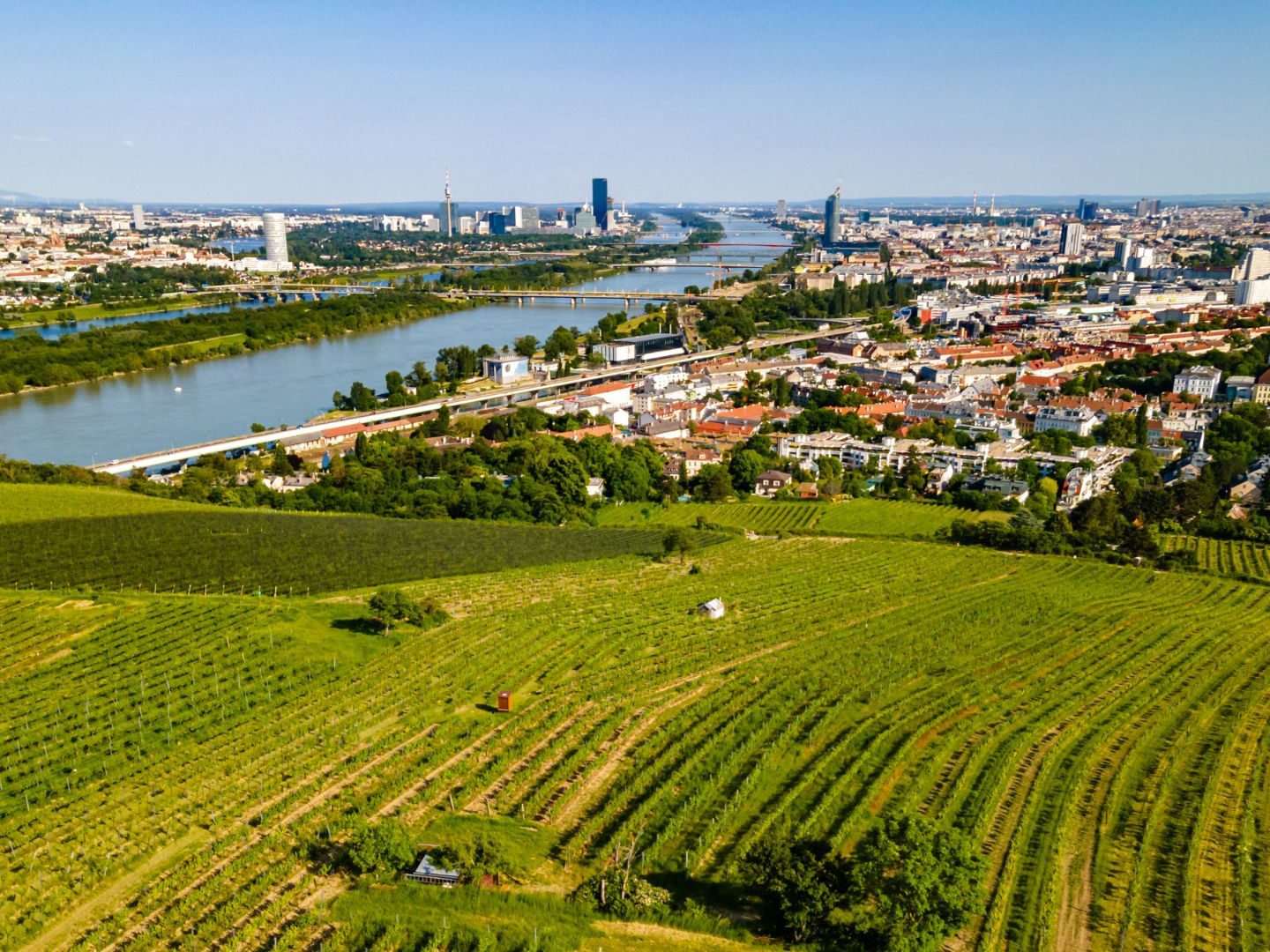 Döbling — Vienna