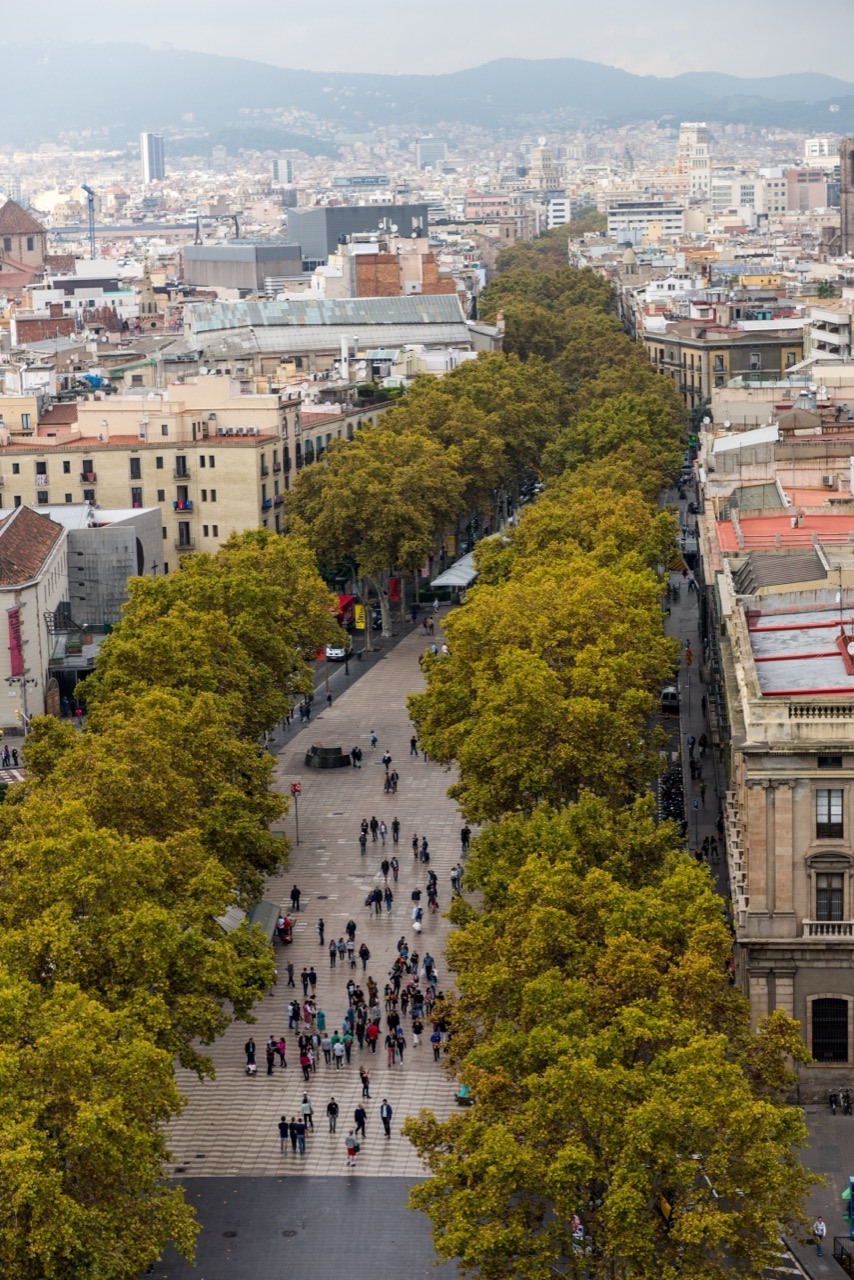 Ciutat Vella district
