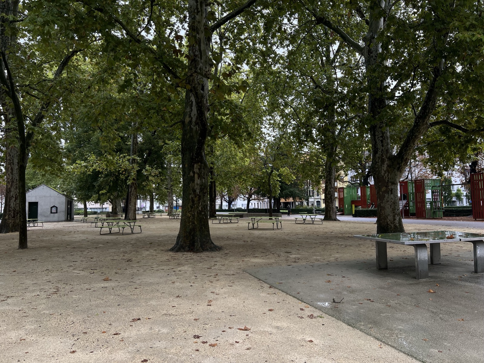 Clara — Basel
