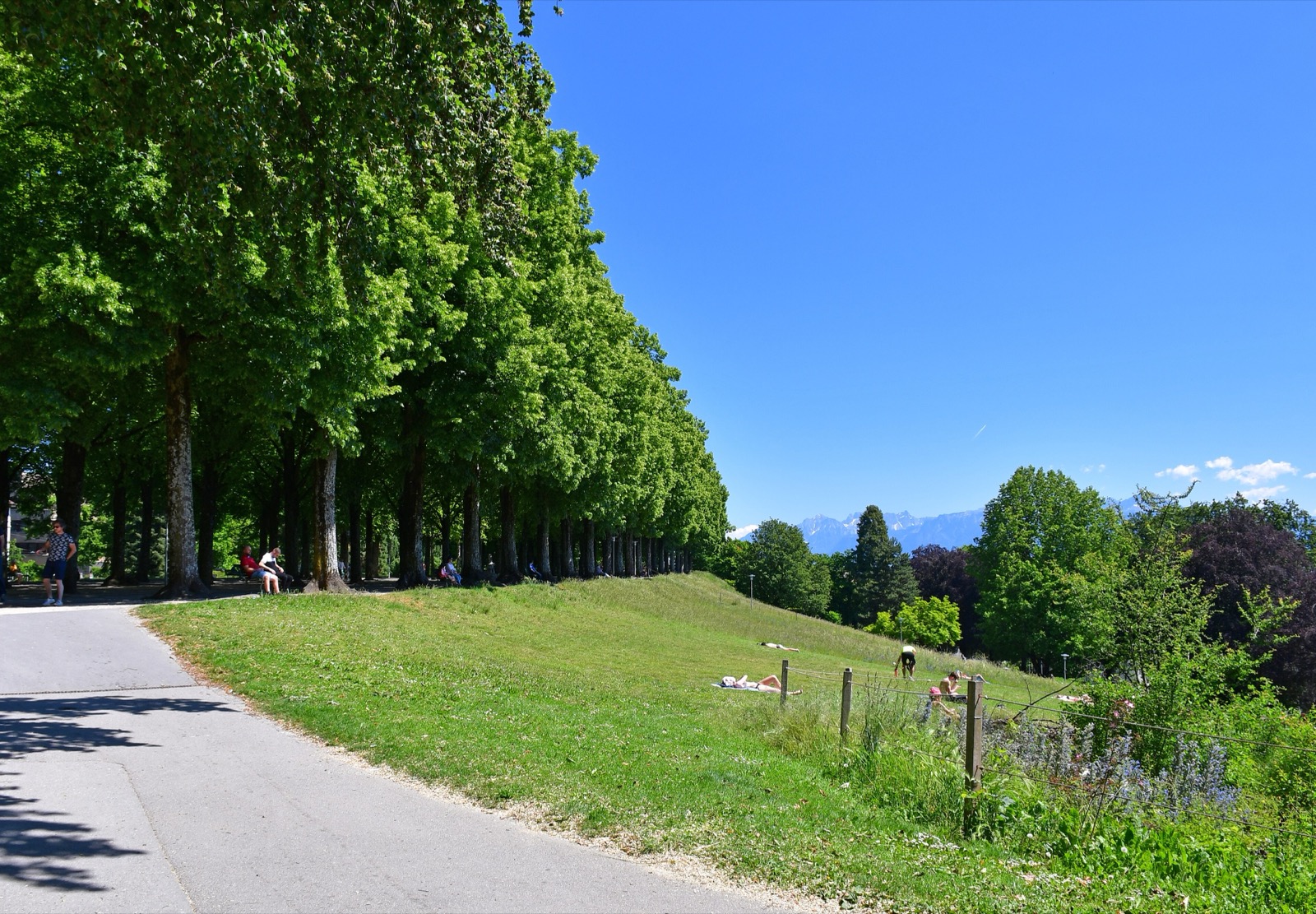 Maupas/Valency — Lausanne
