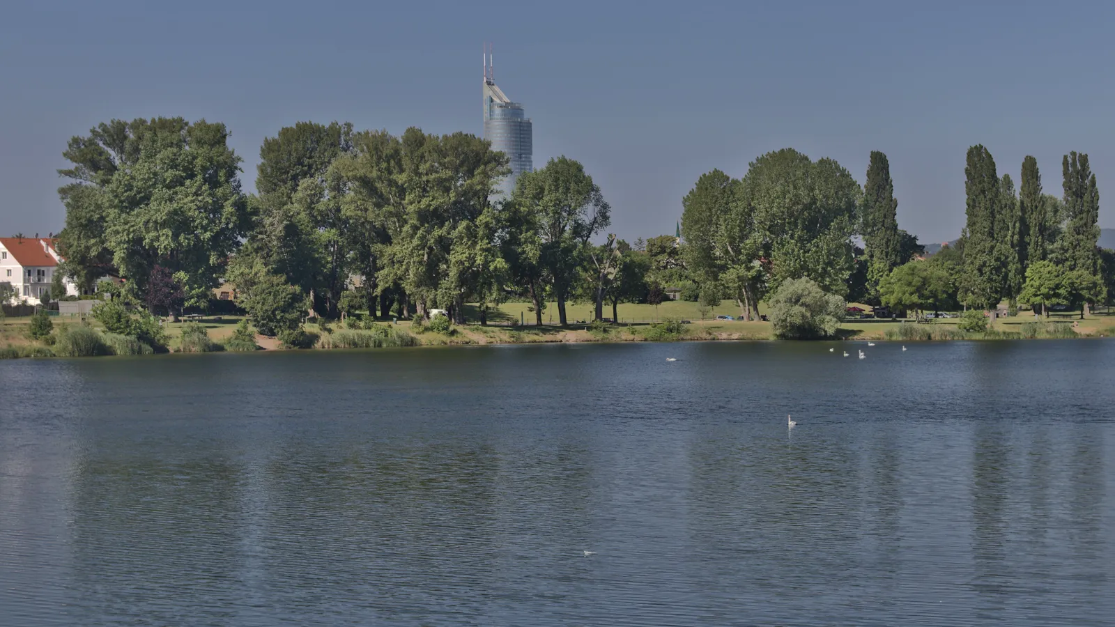 Obere Alte Donau mit Blick auf den Millennium Tower in der Brigittenau, Wien